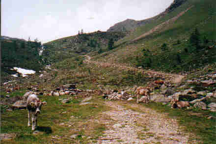 Weg zum Rabbijoch