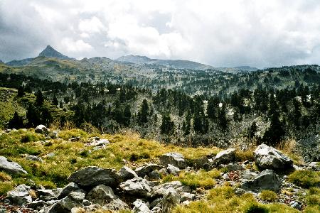 trockener Kalkkarst soweit das Auge reicht