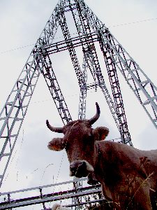 Hochspannend