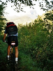 Der Singletrail am Flu&szlig; entlang