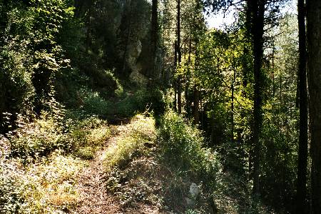 Der Singletrail am Flu&szlig; entlang